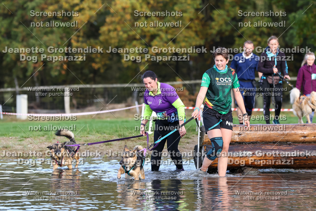 Dog Paparazzi - Strongdog 10-25-8278 | Dog Paparazzi Jeanette Grottendiek Fotografie & Videografie - Realisiert mit Pictrs.com