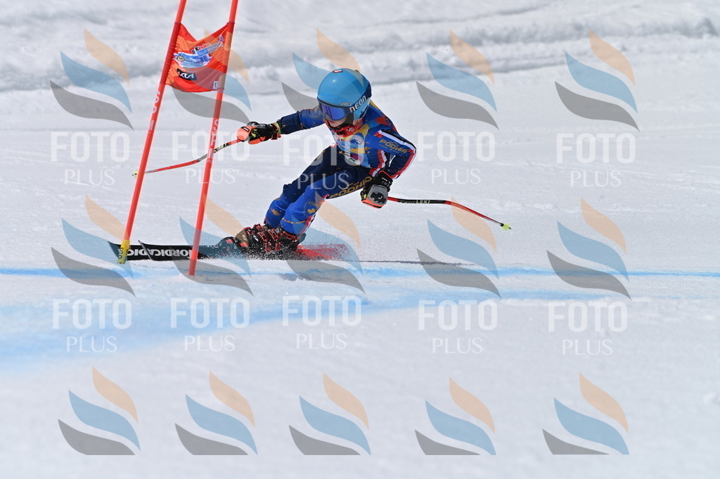 BGV_7037 | holidayphoto