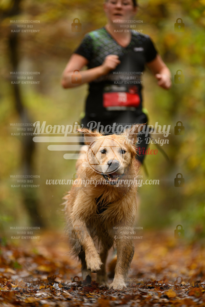 MompixPhotography_CD7S_DI_CCL-51 | mompixphotography