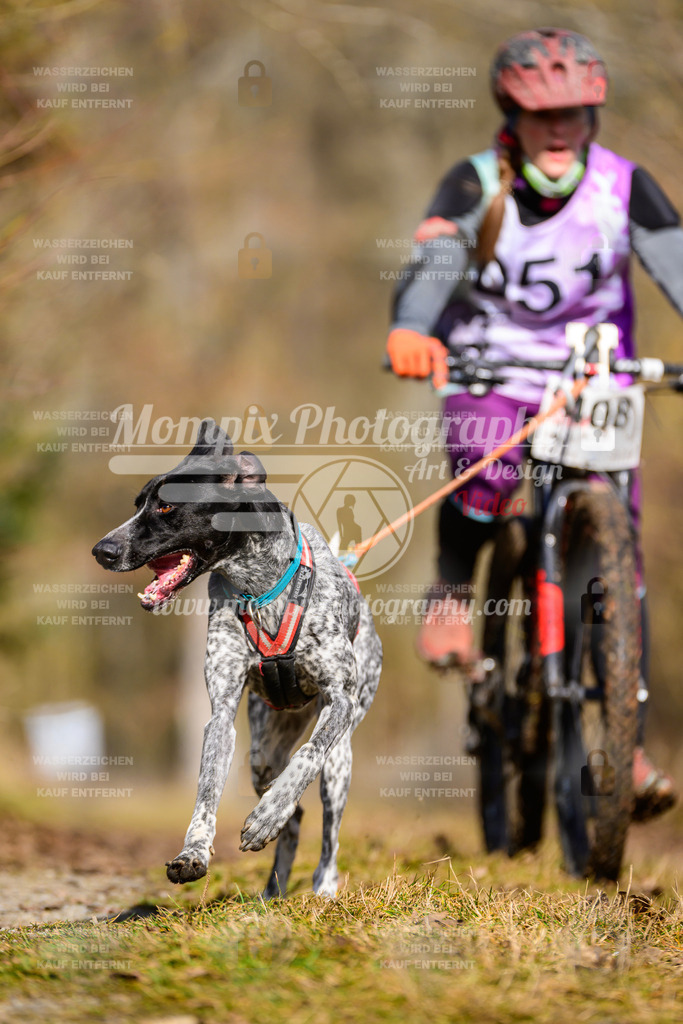 MompixPhotography_Schwabentrail2025_SO_Bike-92 | PayLife