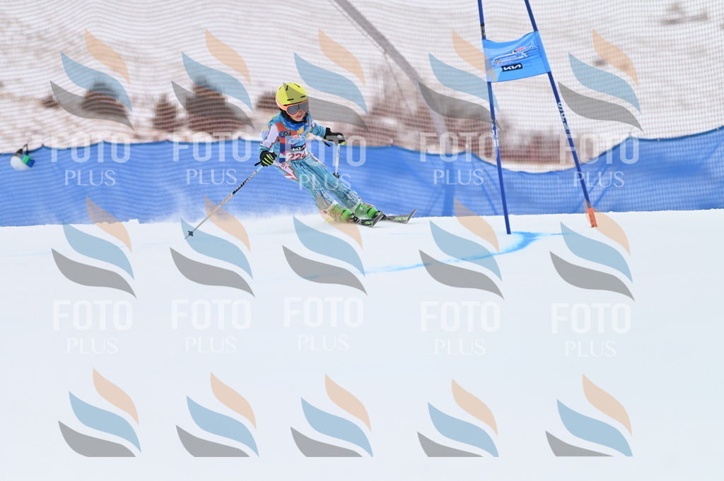 BGV_3264 | holidayphoto