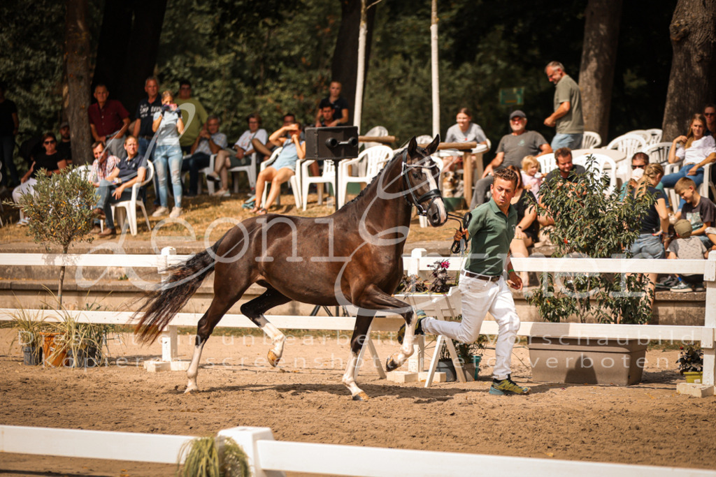 11.So00083 | Leoni Ertmer Photography - Realisiert mit Pictrs.com