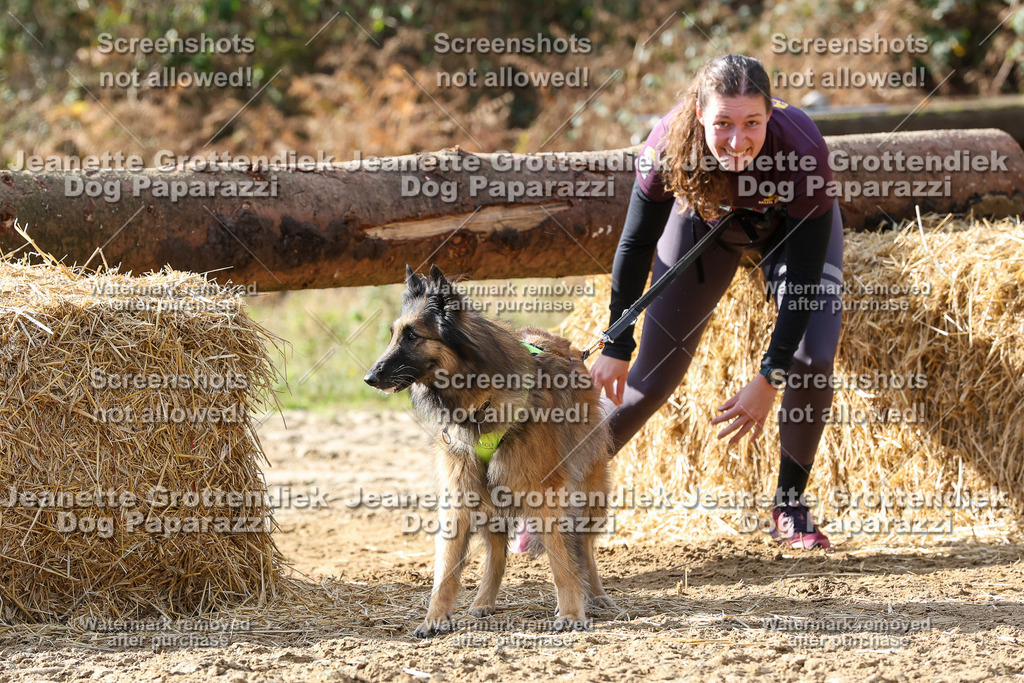 Dog Paparazzi - Strongdog 10-25-5710 | Dog Paparazzi Jeanette Grottendiek Fotografie & Videografie - Realisiert mit Pictrs.com