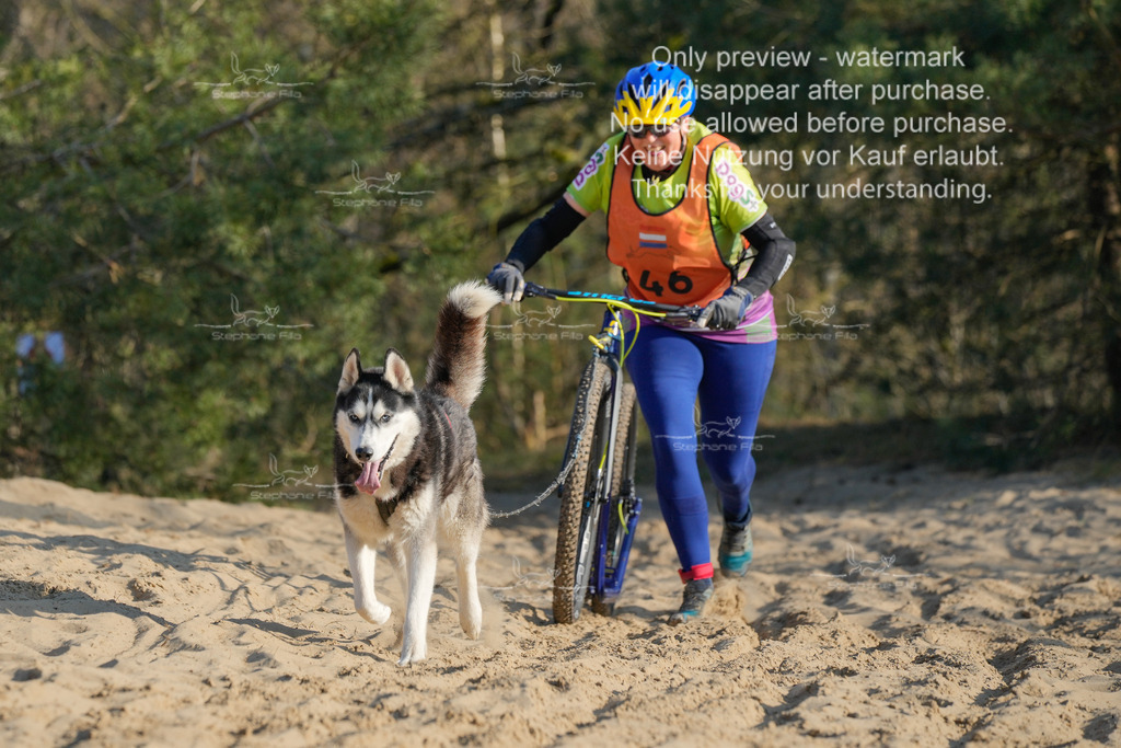 So_Scooter-333 | stephaniefillaphotographie - Realisiert mit Pictrs.com