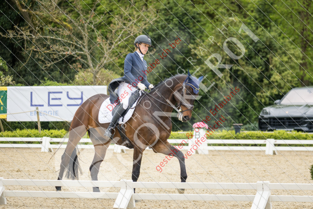 IMG_2286 | Sport-, Event- und Tierfotos in Profiqualität. Einfach auswählen, bestellen und herunterladen. Dein Moment – perfekt festgehalten.