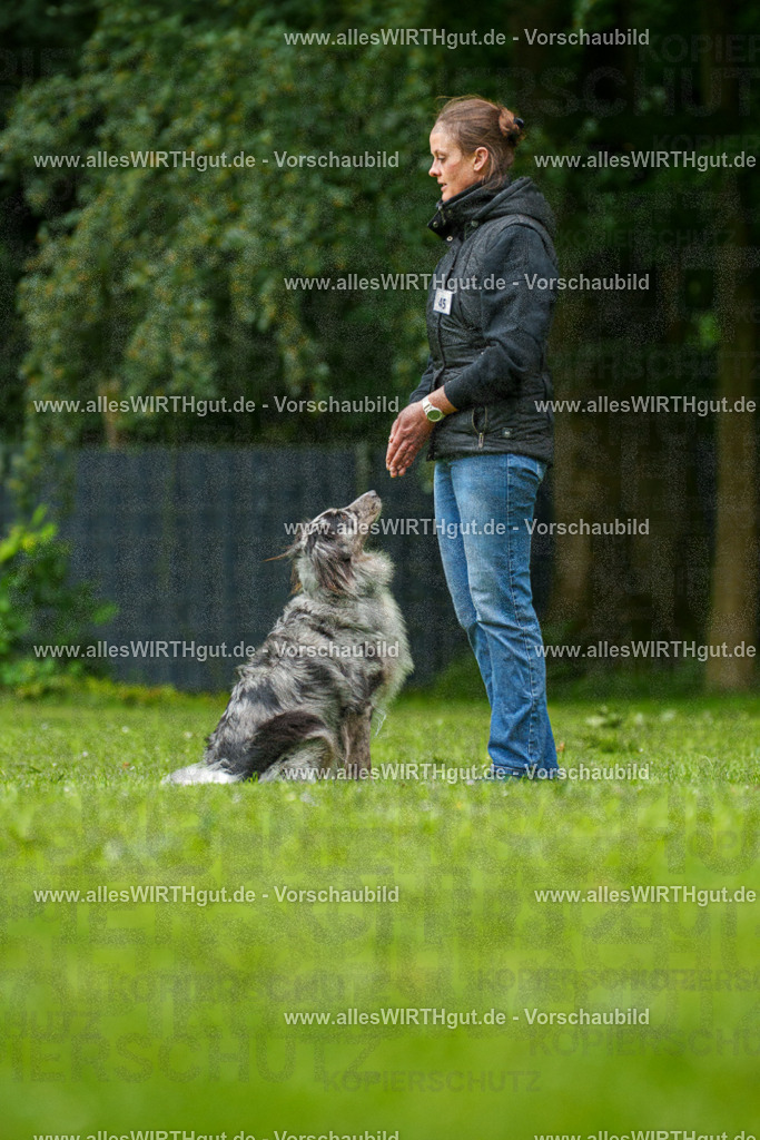 @allesWIRTHgut_Tierfotografie - www.allesWIRTHgut.de - 7R500274 | Professionelle Tierfotografie in Mönchengladbach von Daniel Wirth (allesWIRTHgut). Liebevolle & natürliche Bilder von Hunden & Katzen für unvergessliche Erinnerungen.