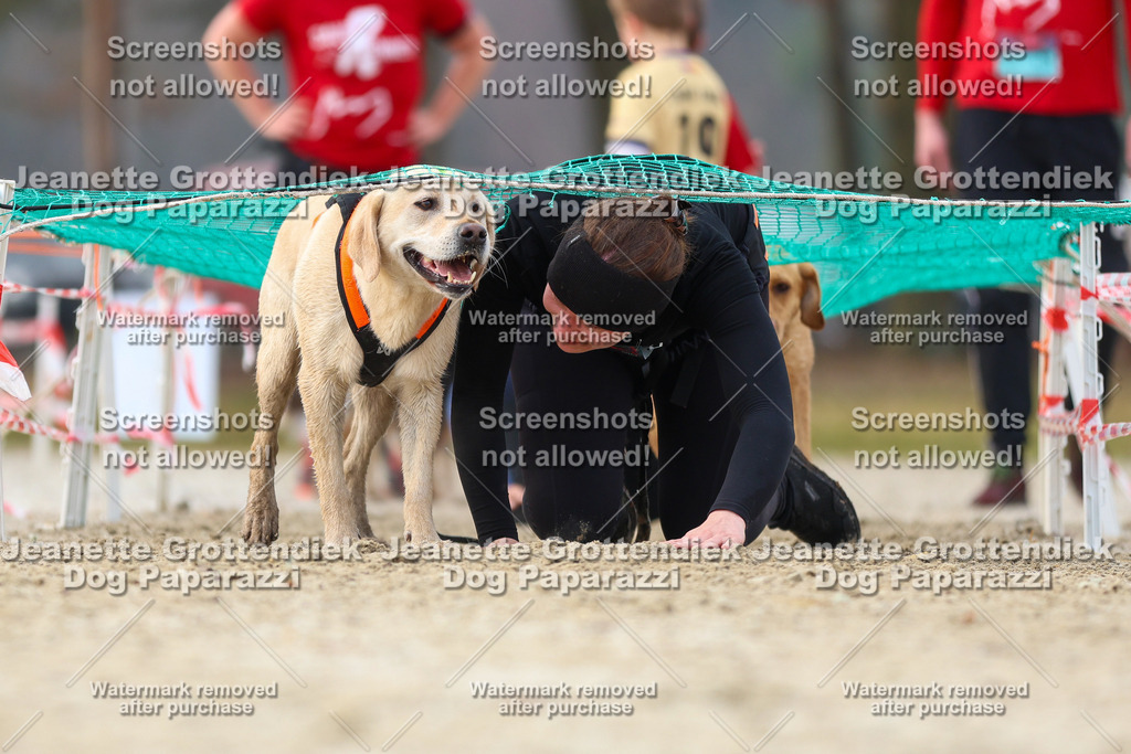 Dog Paparazzi - Strongdog North Mrz26-4203 | Dog Paparazzi Jeanette Grottendiek Fotografie & Videografie - Realisiert mit Pictrs.com