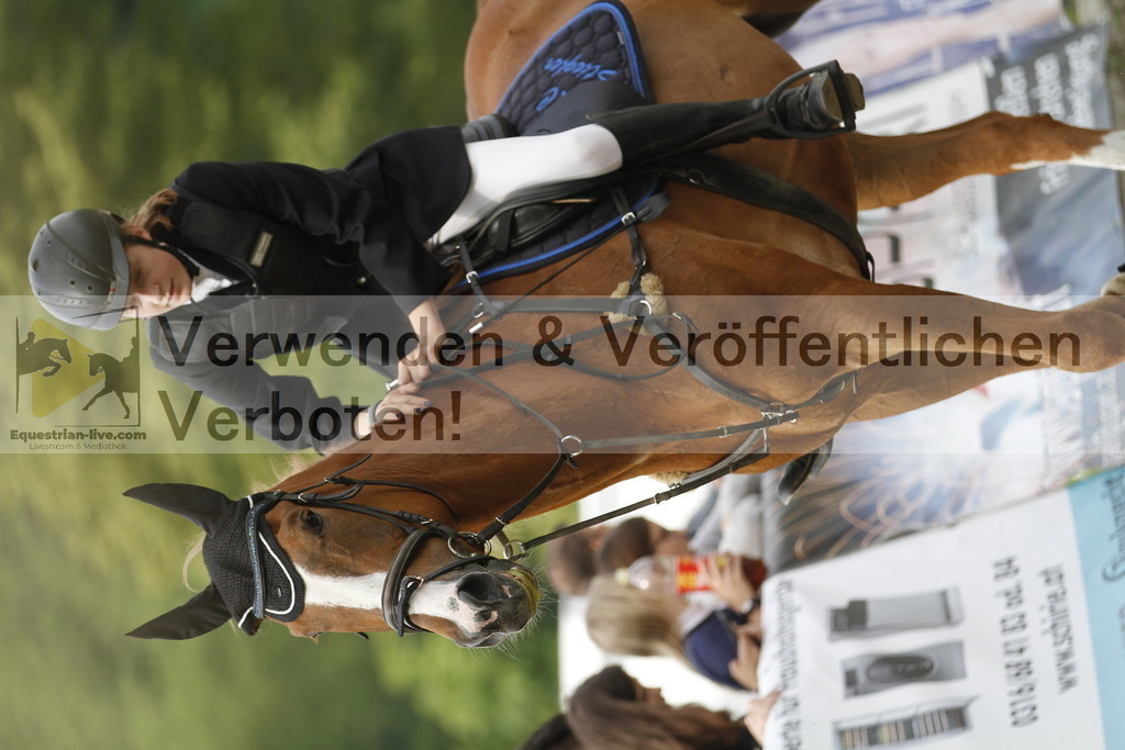 _MG_4268 | equestrian-live-com