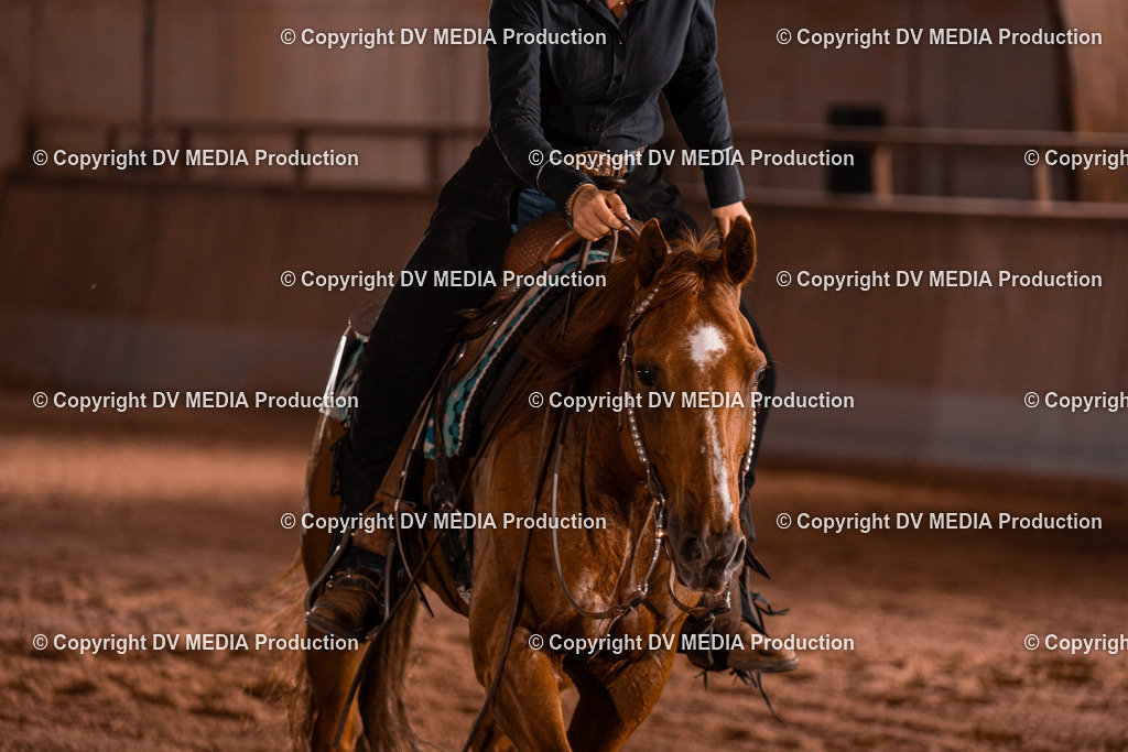 NE201477 | dv-media-shop - Realisiert mit Pictrs.com