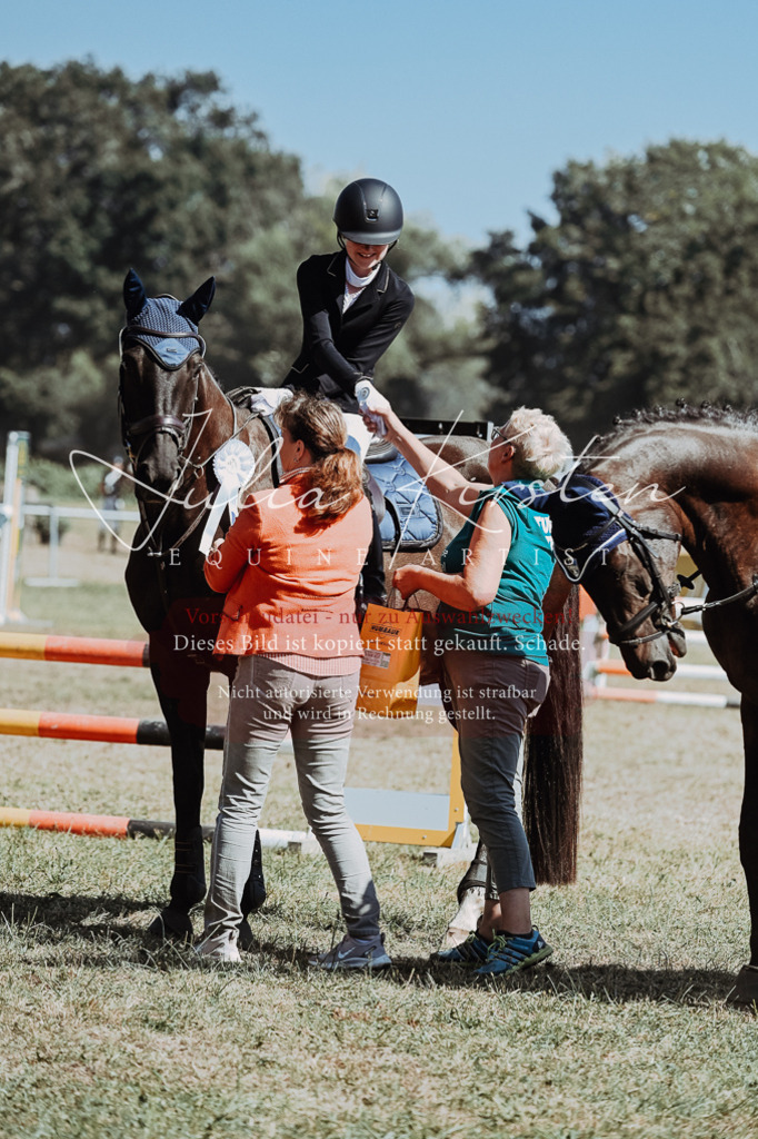 DSC_0087 | Pferde- und Turnierfotografie in Westsachsen. Pferdeportraits, Auftragszeichnungen und intuitive Kunst.