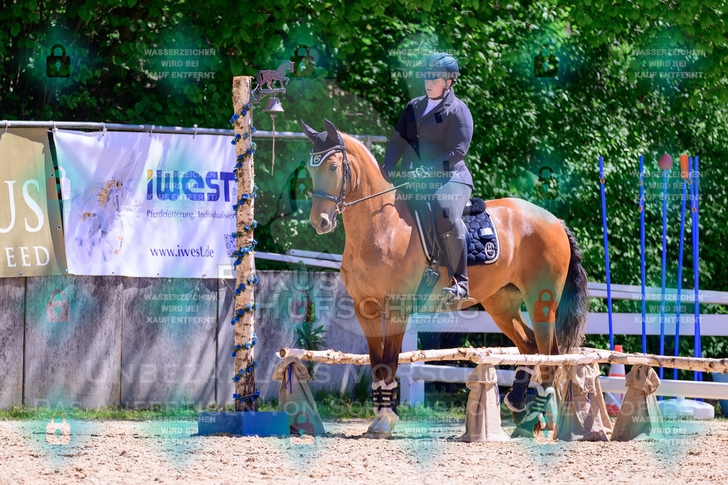 01052026-Giesenbach-02-Stiltrail-0272 | Fokus Hufschlag Fotografie - Realisiert mit Pictrs.com