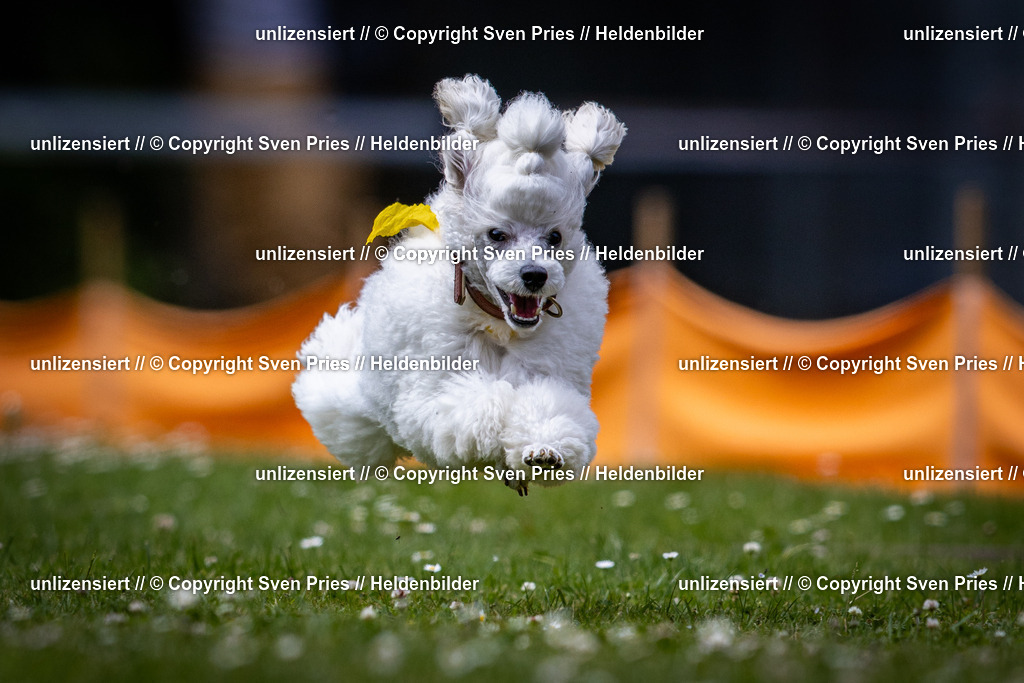 Sven Pries | 2025-05-29 - Pudelrennen KA-Durlach - Realisiert mit Pictrs.com