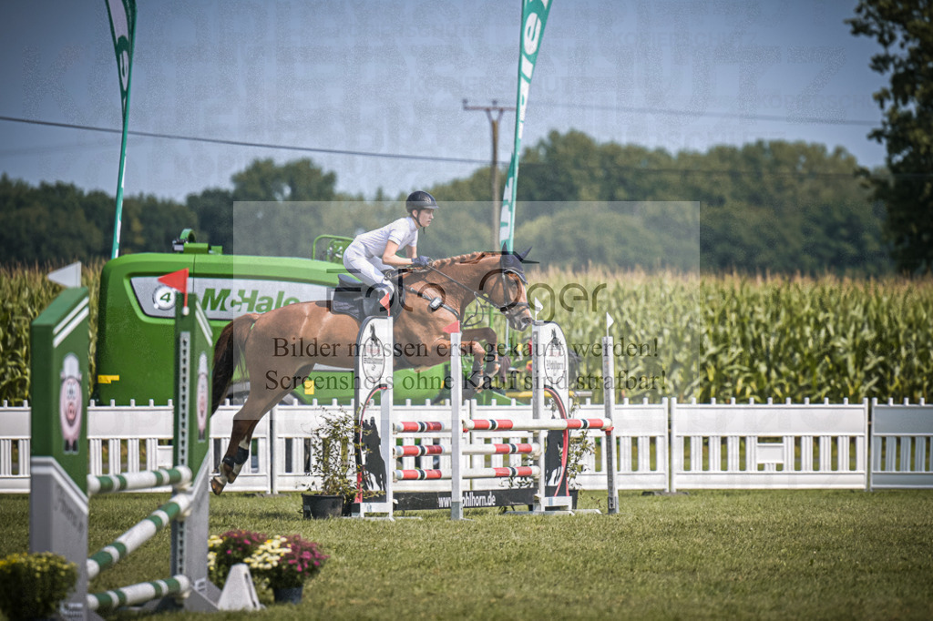 DOS_4125 | Entdecke hochwertige Reitturnierfotos von Foto Oger. Professionell, emotional und authentisch – jetzt Lieblingsmomente im Shop bestellen.Deutschlandweite Turnierfotografie. - Realisiert mit Pictrs.com