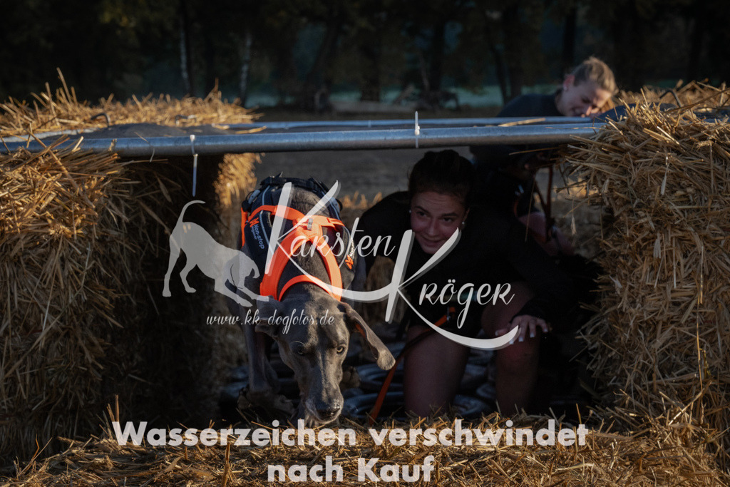 0923_ZZ92729 | kk-dogfotos