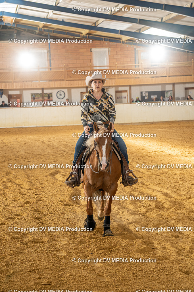 MIT01062 | dv-media-shop - Realisiert mit Pictrs.com