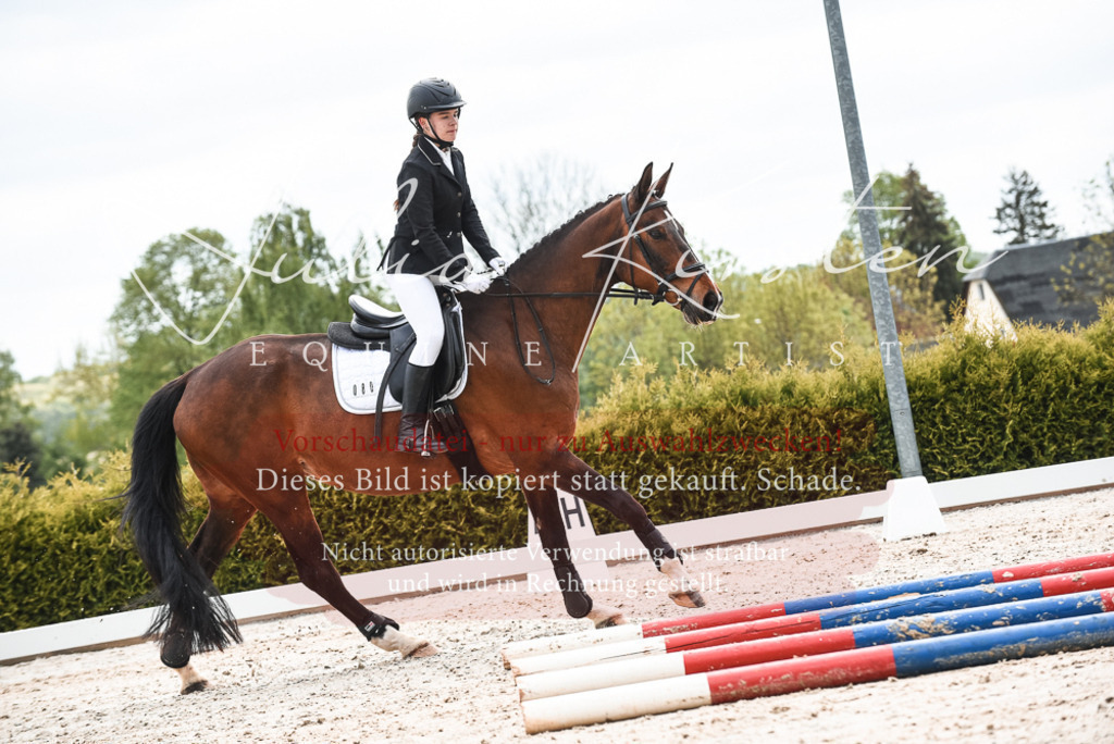 20230518_JK-Röhrsdorf-10-201 | Pferde- und Turnierfotografie in Westsachsen. Pferdeportraits, Auftragszeichnungen und intuitive Kunst.