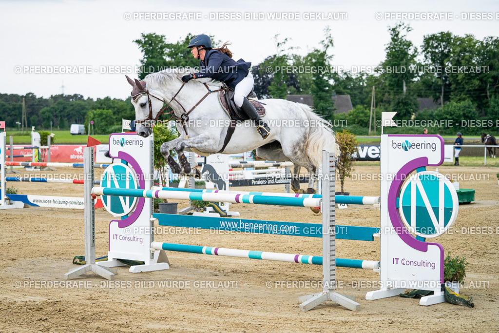 DSC05524 | Pferdegrafie