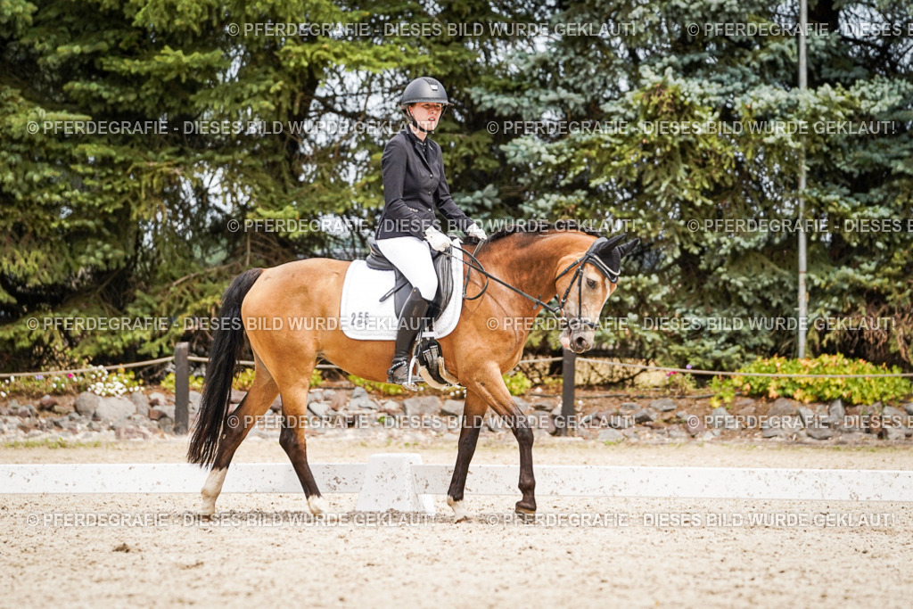 DSC04332 | Pferdegrafie