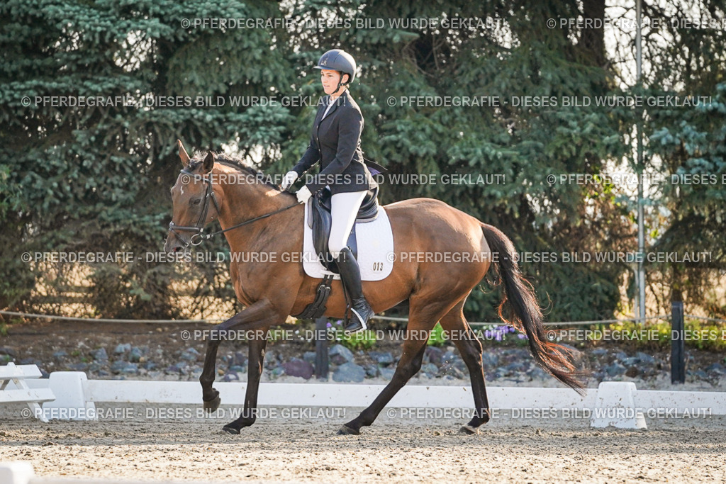 DSC08380 | Pferdegrafie