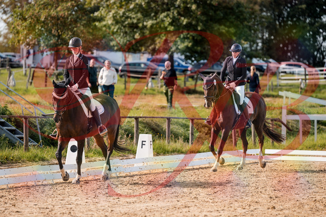 2026_10_03_Siefer-Hof_132132_Z63_83130569 | Professionelle Reitsport-, Turnier- und Eventfotografie von Robert Broda. Galerien mit ausgewählten und bearbeiteten Bildern direkt online ansehen und bestellen.