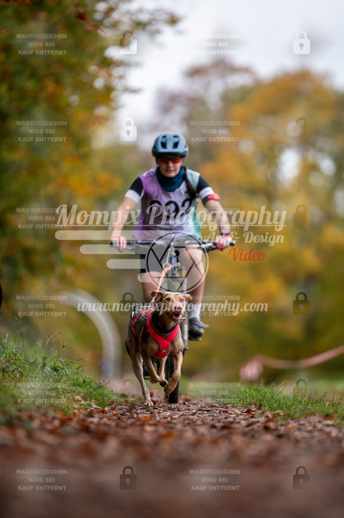 DBT_DAKM_SA_4_11_2023_Bike-36 | PayLife