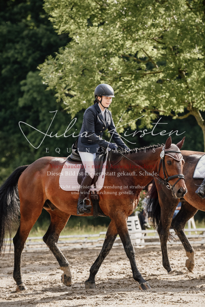 DSC_8690 | Pferde- und Turnierfotografie in Westsachsen. Pferdeportraits, Auftragszeichnungen und intuitive Kunst.