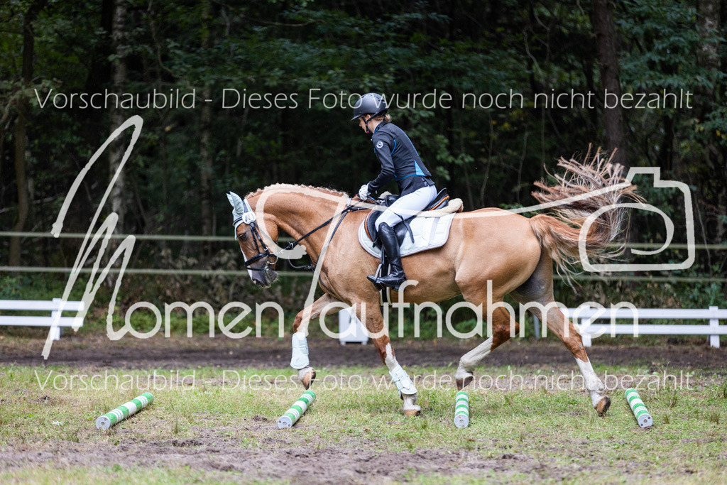 HB-Caprilli-038 | MomenTaufnahmen Pferdesportfotos