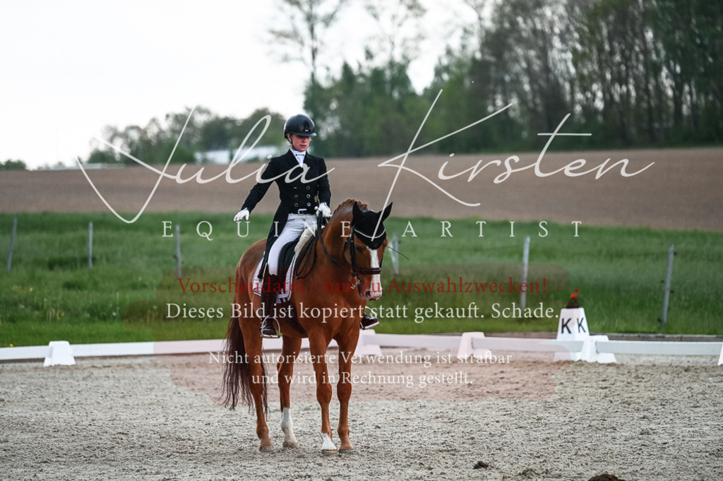 20230514_JK-Röhrsdorf-21-630 | Pferde- und Turnierfotografie in Westsachsen. Pferdeportraits, Auftragszeichnungen und intuitive Kunst.
