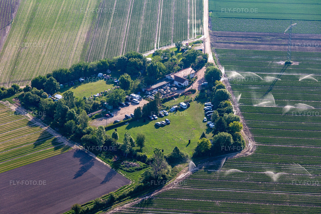 Luftbild: SV OG in Mutterstadt im Bundesland Rheinland-Pfalz in Deutschland. Foto: IMG_114202.jpg vom 26.05.2019 durch Werner Riehm/FLY-FOTO.de