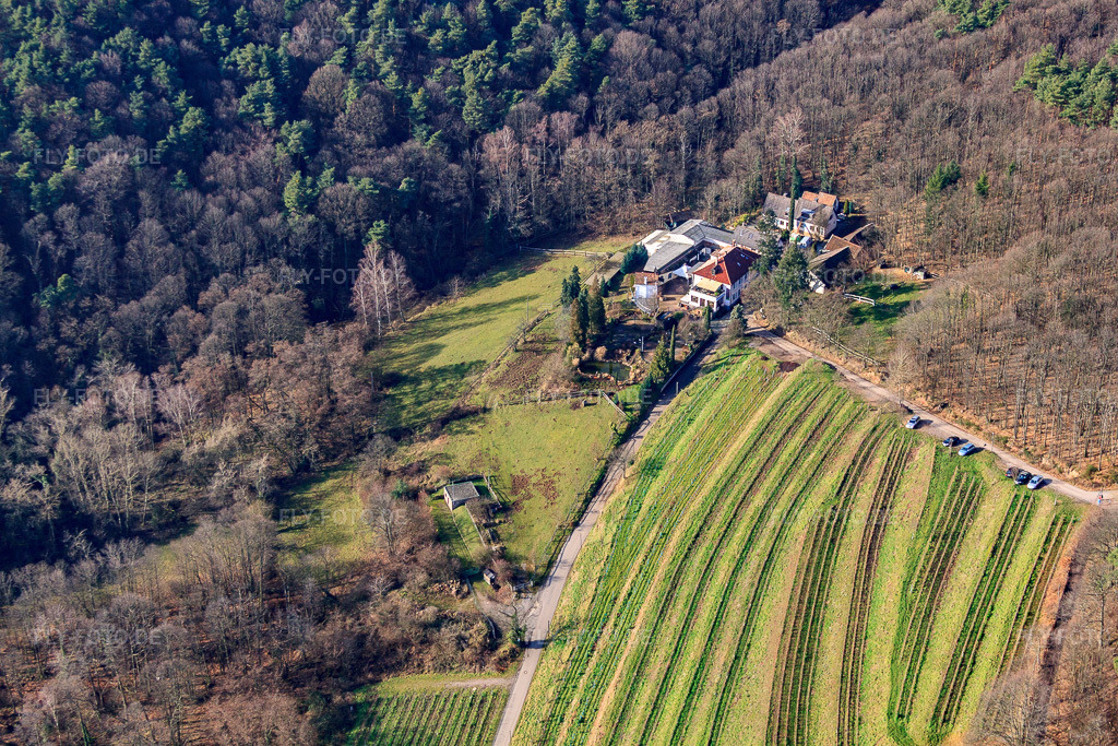 Luftbild: Weingut Sankt Annaberg in Burrweiler im Bundesland Rheinland-Pfalz in Deutschland. Foto: IMG_61601.jpg vom 18.01.2014 durch Werner Riehm/FLY-FOTO.deauf dem Weingut Sankt Annaberg