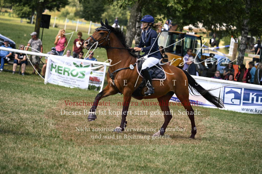 DSC_0313 | Pferde- und Turnierfotografie in Westsachsen. Pferdeportraits, Auftragszeichnungen und intuitive Kunst.