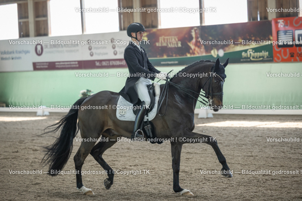 _D5A9229 | Emotionale Pferde- & People-Fotografie rund um Heidelberg, Leimen & Umgebung. Natürliche Fotos von Pferd, Mensch & Familie. Jetzt Termin sichern!