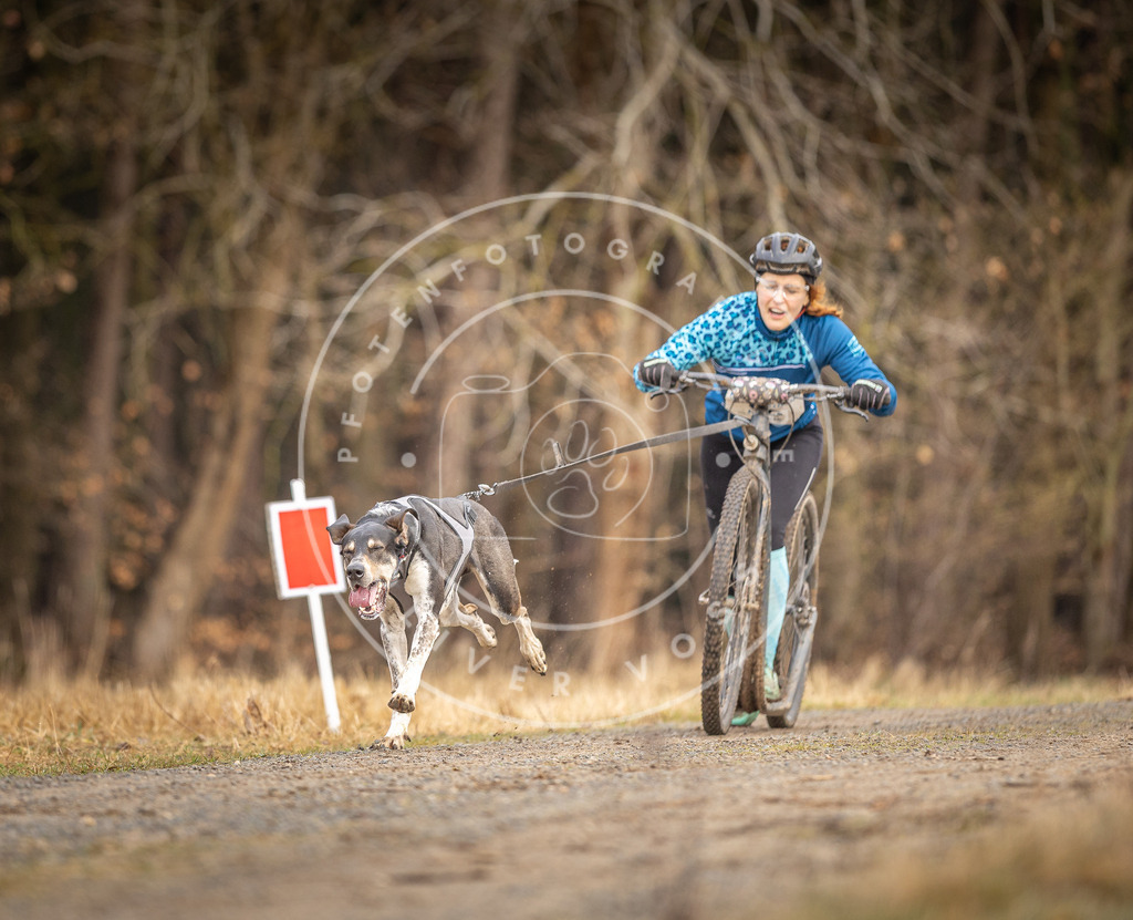 DV3A3391 | Hundefotografie, Tierfotograf, Pfotenfotografie, Fotoshooting Hund, Hunde Portrait, Hundesport, Hundeportraits, Heideshooting, Hunde, Sportfotograf, Hundefotograf, Turnierhundsport, THS,  - Realisiert mit Pictrs.com