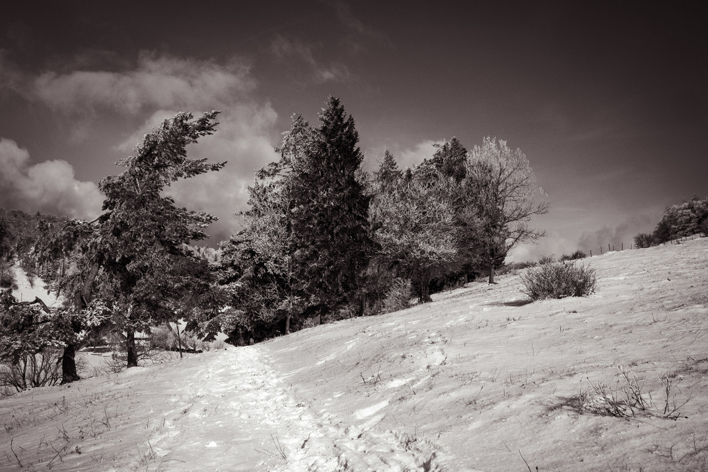 Winterliche Stimmung am Morgen auf dem Vogelberg | Schöne Fotografien aus der Stadt und der Natur zum bestellen oder selber hochladen. Druck auf Foto, Postkarte, Kalender, FineArt Hahnemühle, Alu-Dibond , Akustikbilder zur Absorption von Schall und Lärm etc. - Realisiert mit Pictrs.com