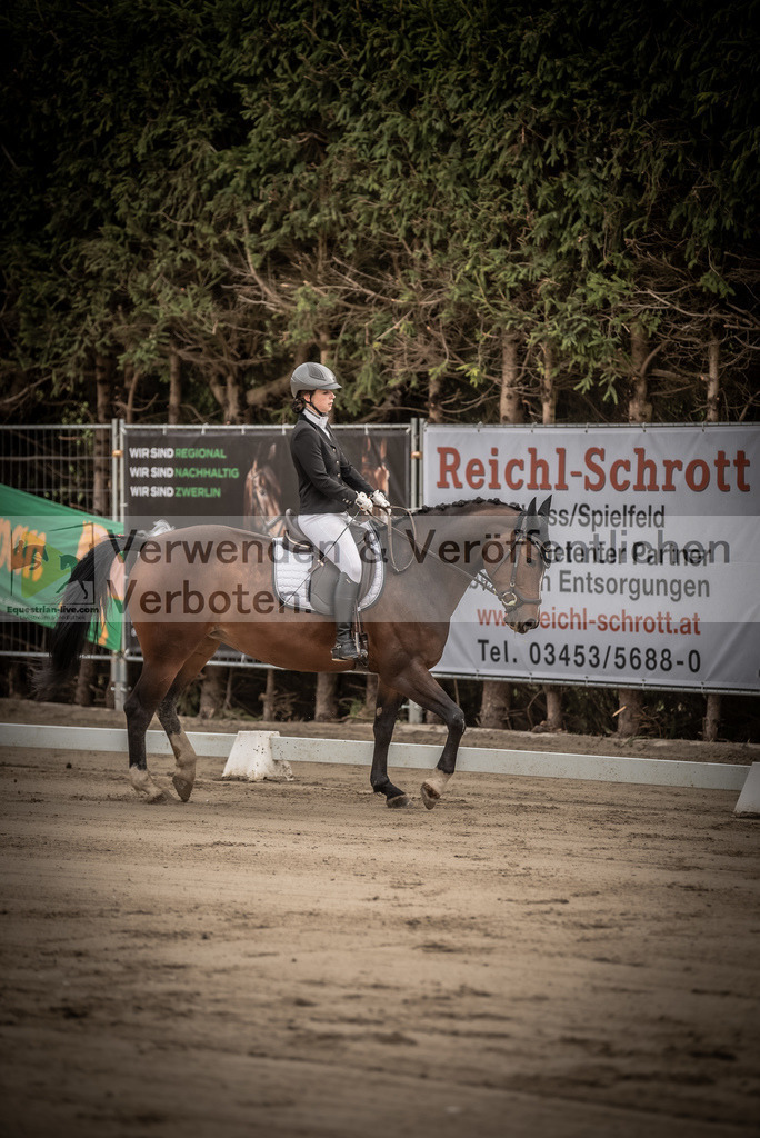 DSC_8129 | equestrian-live-com