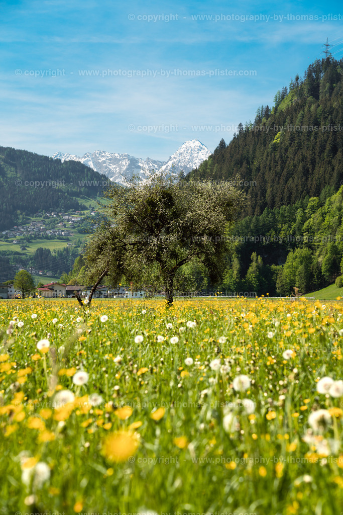 Aschau im Zillertal copyright  Thomas Pfister-1 | PHOTOGRAPHY BY THOMAS PFISTER