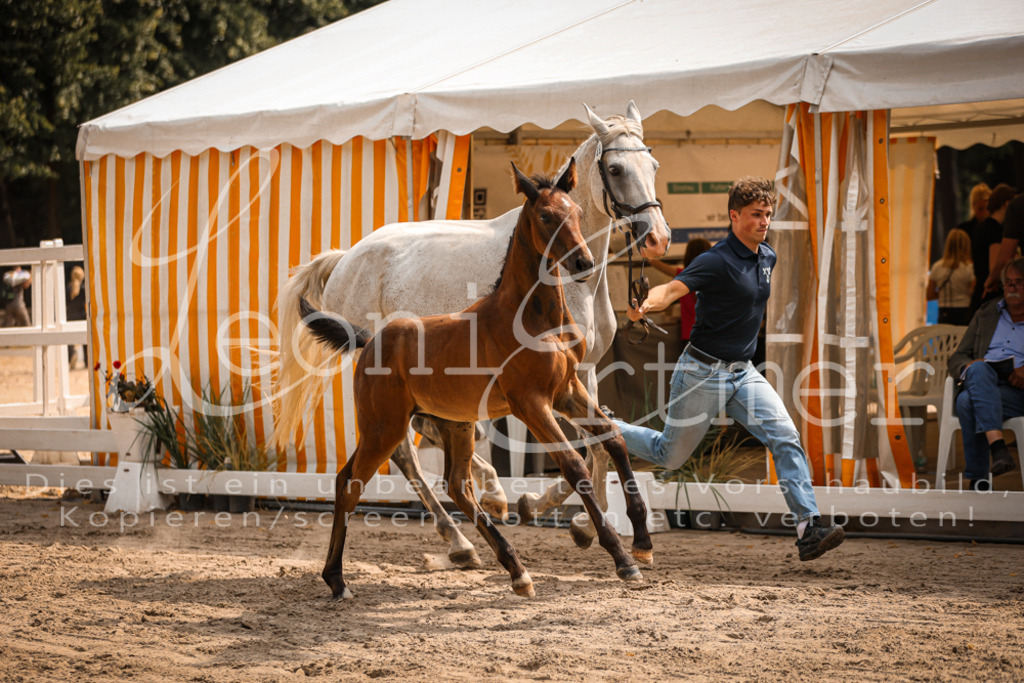 07.DoWBS00095 | Leoni Ertmer Photography - Realisiert mit Pictrs.com