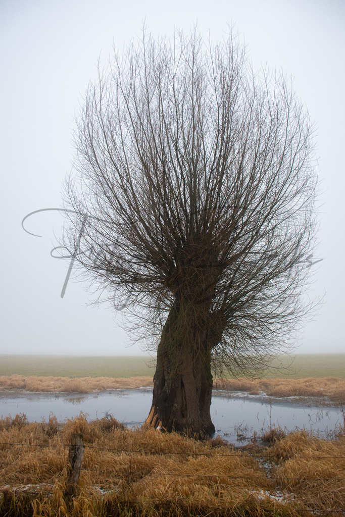 Landschaft 5-1 | fotografie-derks - Realisiert mit Pictrs.com