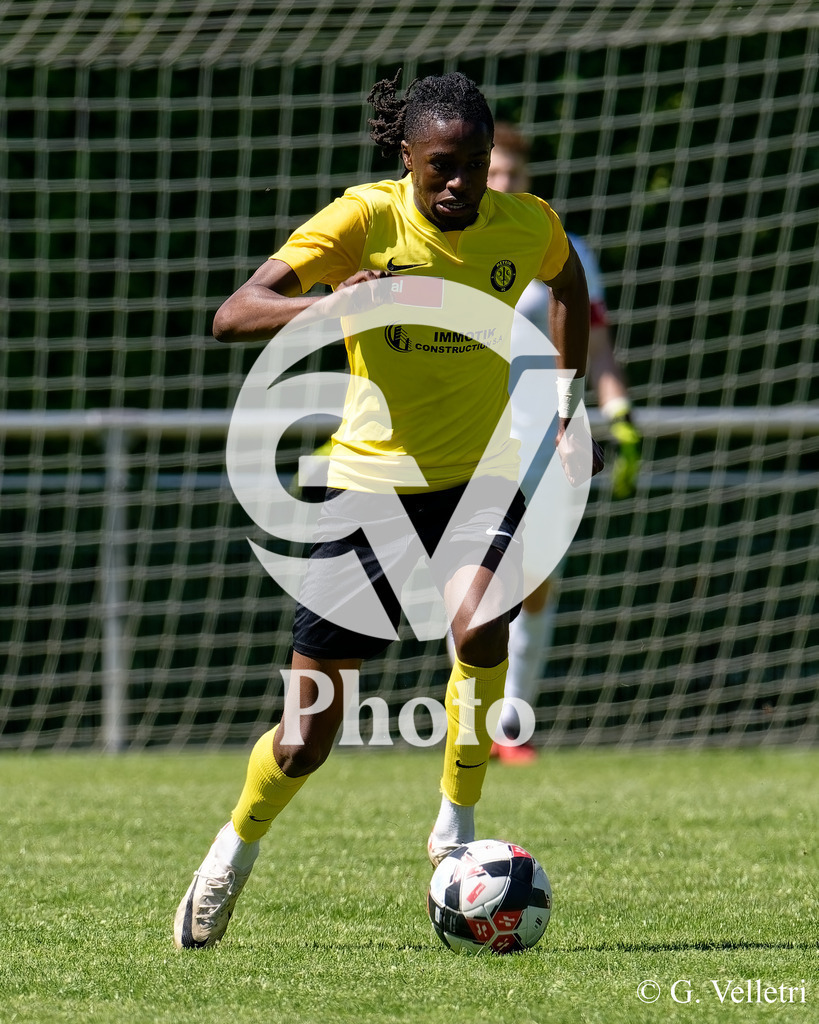 DSC_7605 | Velletri Photo