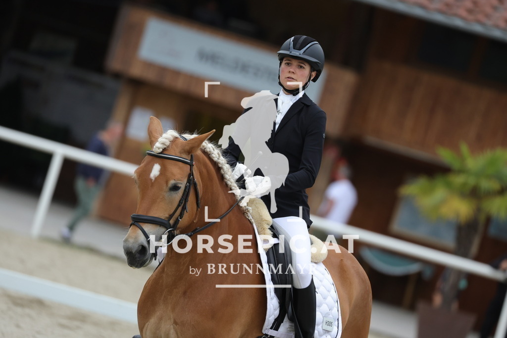 0P6A7086 | Willkommen bei Brunnmayr - Design & Fotografie – Ihrem Spezialisten für Reitturniere und Pferdeveranstaltungen in Oberösterreich, Salzburg und Bayern! Seit über 17 Jahren sind wir leidenschaftlich dabei.