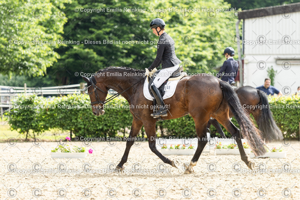 CL5A5903 | Emilia Reinking Fotografie - Realisiert mit Pictrs.com