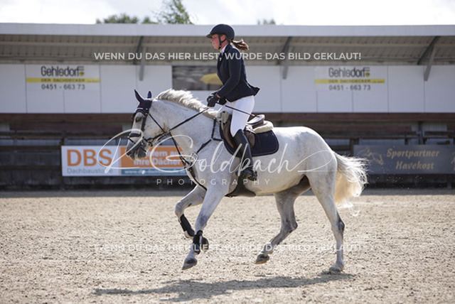 1J2A3683Ann-Kathrin Gotthard_ Cornetta 44_ Kn315_ Havekost | Foto- und Videografie für alles rund ums Pferd. Hochwertige Bilder und Videos vom Spring- und Dressurreiten, Voltigieren & mehr. Jetzt aktuelle Veranstaltungen und Preise im Shop ansehen. - Realisiert mit Pictrs.com