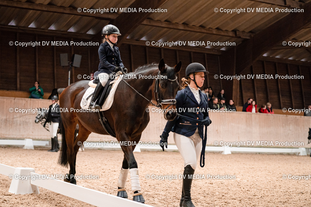 Dressur Tag 3-478 | dv-media-shop - Realisiert mit Pictrs.com