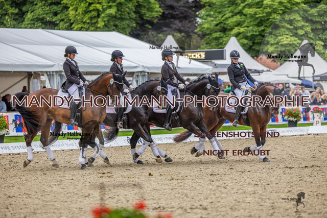 25.7.25 D1 59 (756 von 1569) | mandyhollmannphotographie