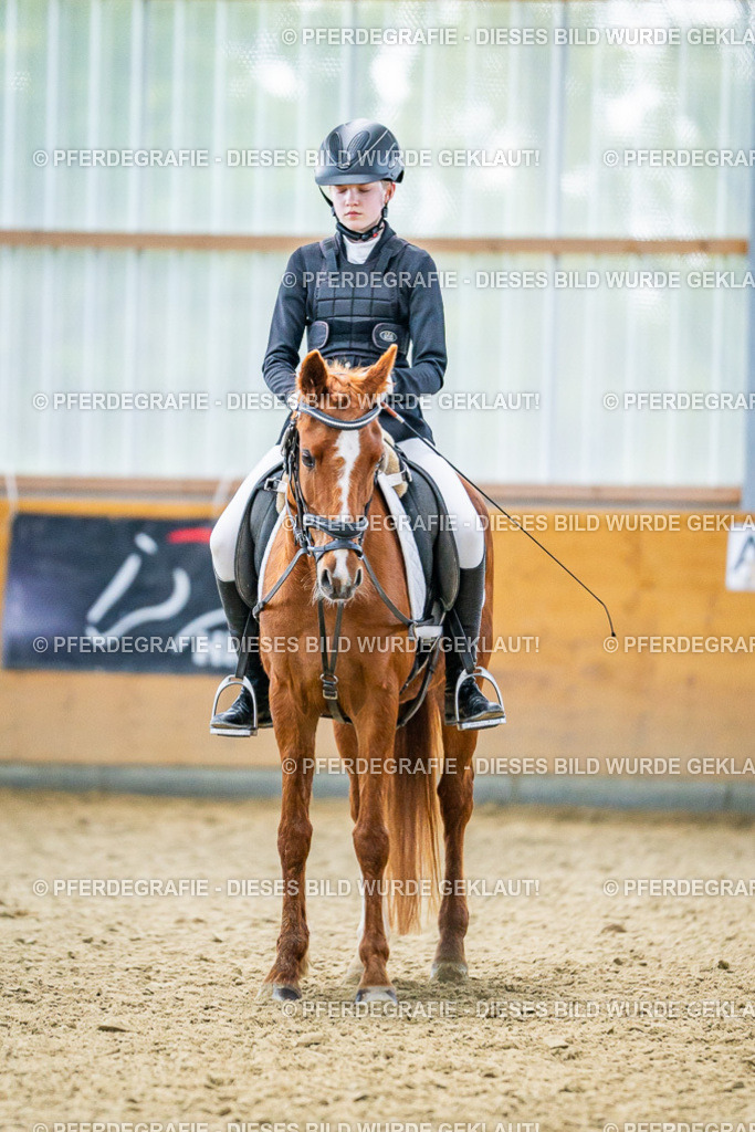 DSC04926 | Pferdegrafie