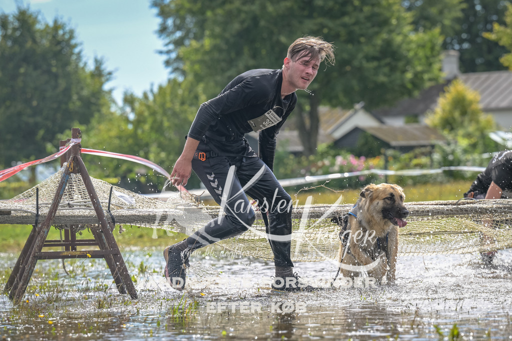1325_ZZ91064 | kk-dogfotos