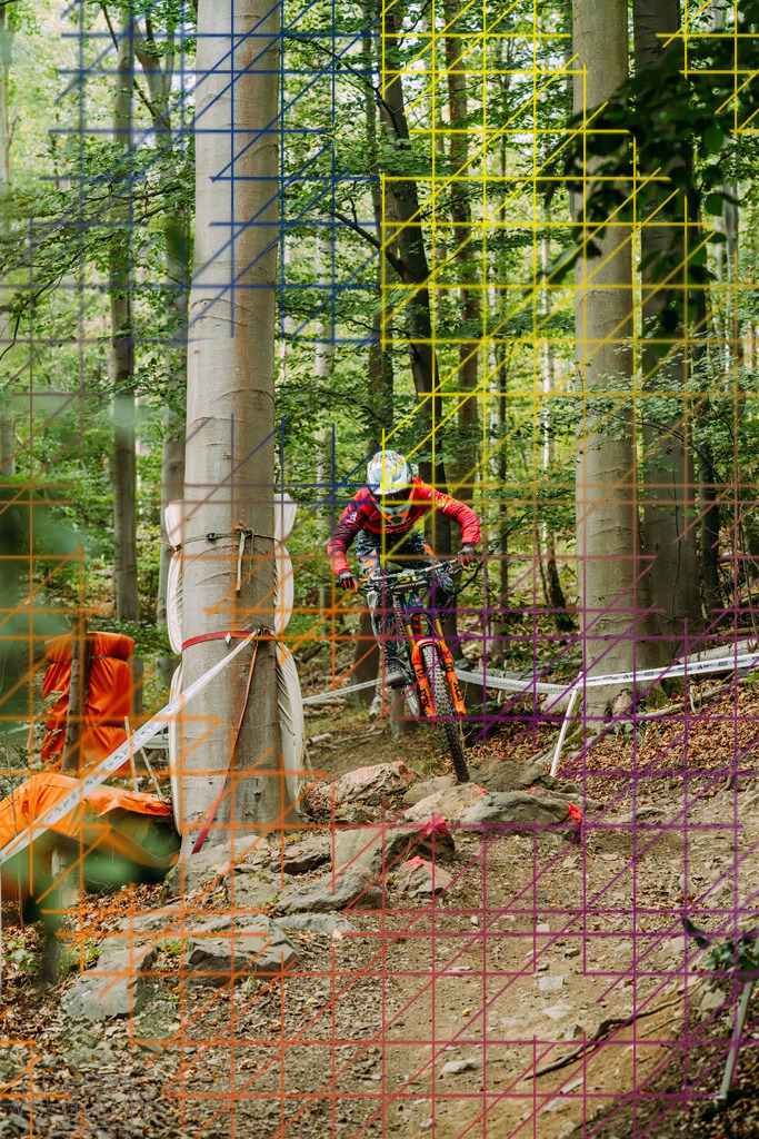 PAE-2291 | Einzigartige Fotokunst für dein Zuhause: Entdecke hochwertige Wandbilder, edle Prints und emotionale Motive von Wildlife, Natur und Landschaften - Realisiert mit Pictrs.com