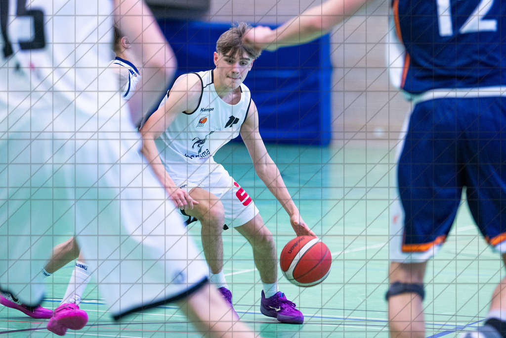 JBBL 24/25 | 19.01.2025 | Charisma Young Bulls vs. Rostock Seawolves | JBBL 24/25 | 19.01.2025 | Charisma Young Bulls vs. Rostock Seawolves - - - - - CREDIT, www.bullenfotos.de, Martin König, Hörner Weg 40, D-49078 Osnabrück, +4917663732967, Nutzung und Weitergabe nur zu den vereinbarten Zwecken. Presseanfragen an Urheber. Alle Rechte beim Urheber. - - - - - - Realisiert mit Pictrs.com