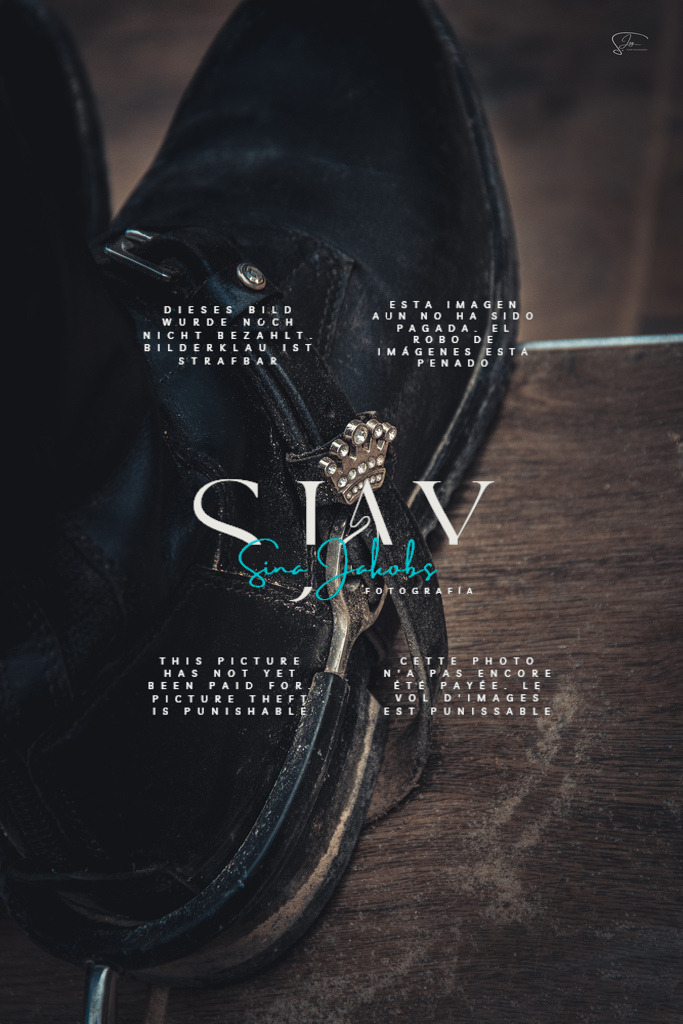 IMG_5312 | s-jay-photography - Realisiert mit Pictrs.com