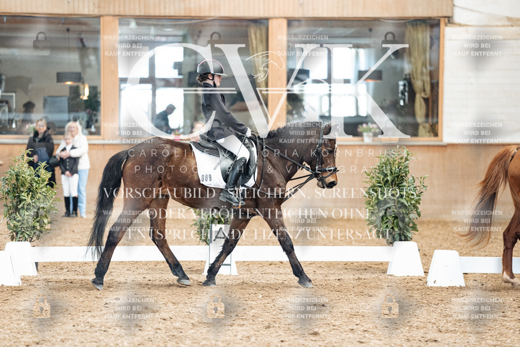 CK900438 | Turnierfotografie Pferdefotografie Trier Rheinland-Pfalz Pferdesport Reitsport Tierfotografie Sportfotografie Pferdevideo Pferdevideografie Equestrianvideography equestrianphotography  - Realized with Pictrs.com